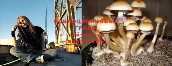 стафф Алзамай