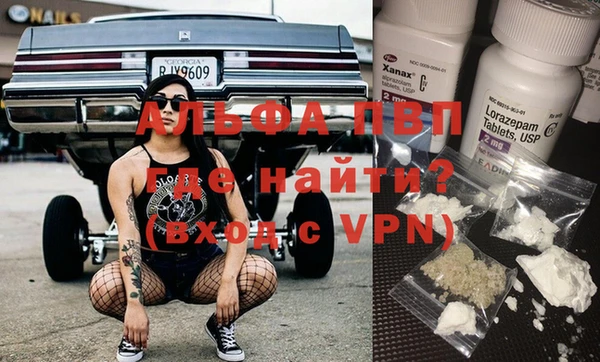 стафф Алзамай